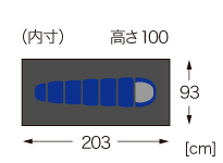 本体サイズ